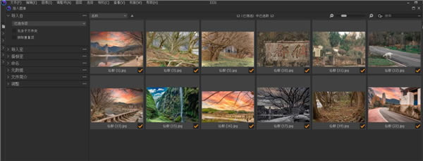 Capture One 22 Proƽֱb 3DƬ