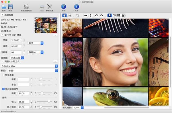 PhotoZoom pro8 for Mac° 3DƬ