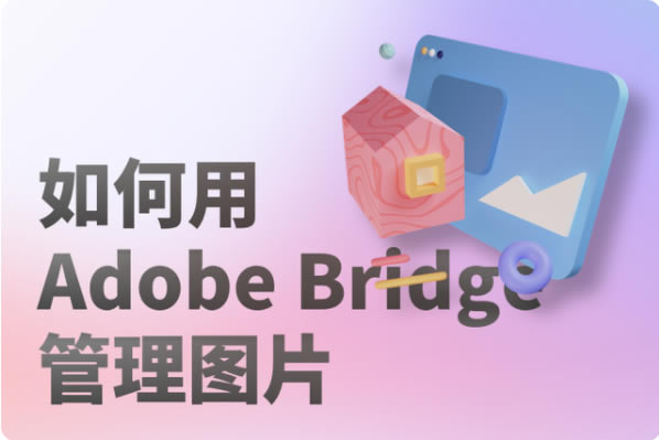 Adobe BridgeDƬ1