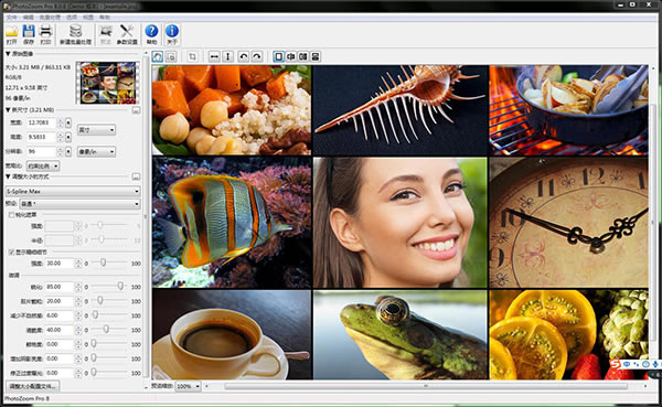 photozoom pro8ƽ