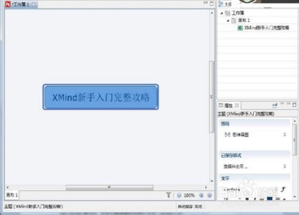 XMind11؄edXMind11W(xu)ͥ v11.0.2 (؄ea(b))-վ