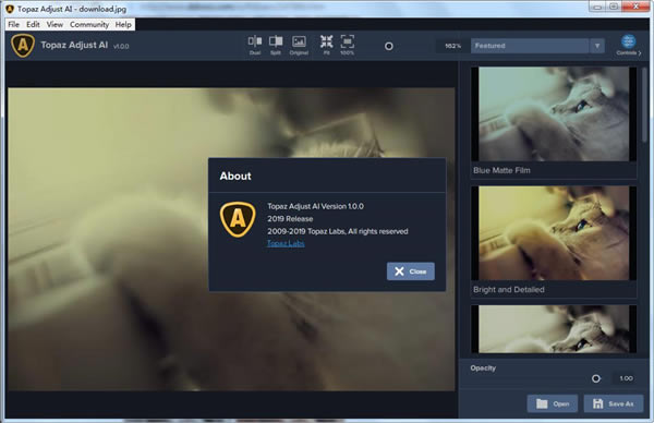 Topaz Adjust AIءTopaz Adjust AIر v1.0.5 ɫ