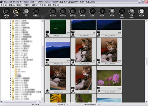 Digital Photo Professionalر桿Digital Photo Professional4 v4.1.50 ر-վ