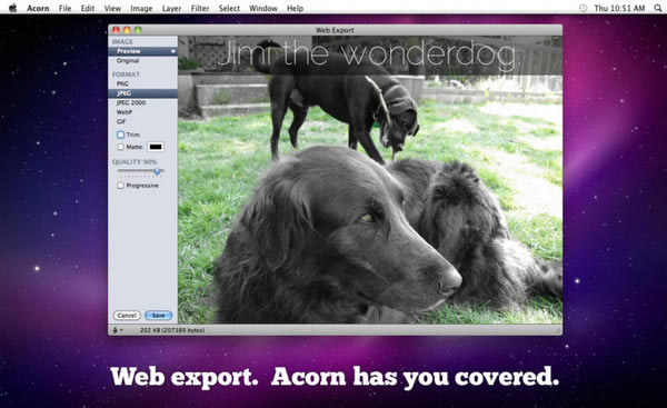 Acornر桿Acorn for mac v6.5.2 ر-վ