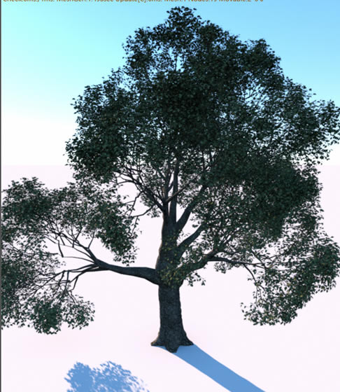 ForesterءForester(C4Dֲɭֲ) v1.0 İ