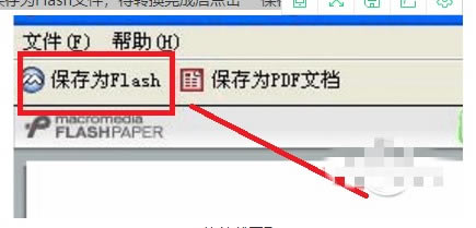 FlashpaperٷѰôʹ