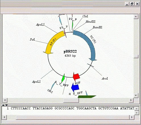 SimVectorءSimVector(ͼ׻ƹ) v4.6.0 ٷʽ