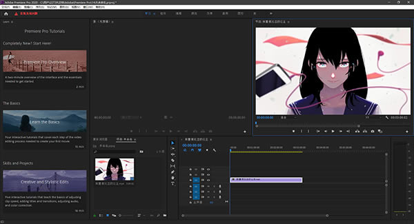 Adobe Premiere Pro CC2020