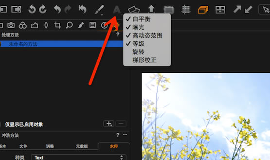 Capture One12ô