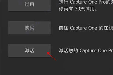 Capture One12ر̳