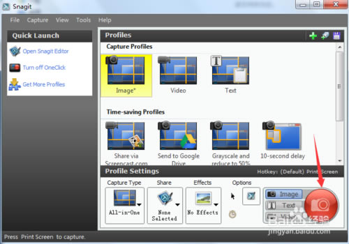 SnagItرءSnagIt v19.0.2448 ر-վ