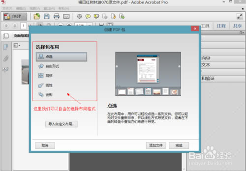 adobe acrobat professionalءAdobe Acrobat Professional v7.0 ر-վ