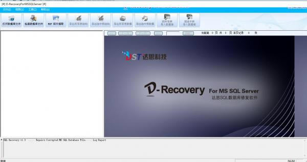 ˼ݻָ׼ء˼ݻָ׼棨D-Recovery standard v1.0.0.2 ʽ