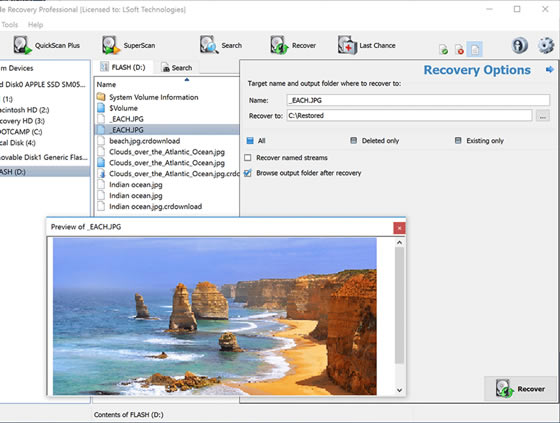 Active File RecoveryءActive File Recoveryİ v21.0.2 Ѱ