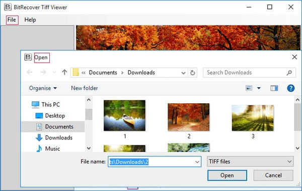 BitRecover Tiff ViewerٷʽءBitRecover Tiff Viewer(TIFFļ鿴) v2.2 ٷʽ