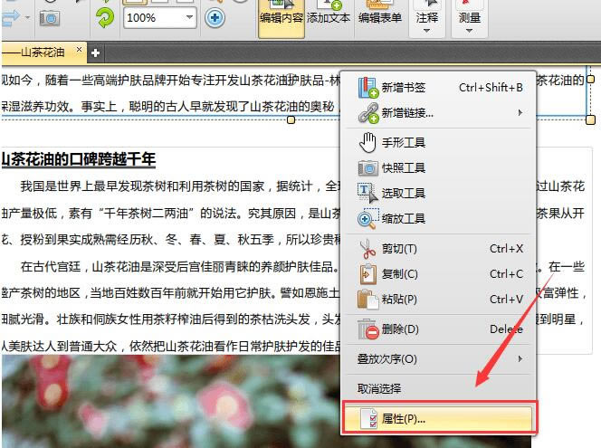 Ѹpdf༭İر桿Ѹpdf༭ v2.1.3.0