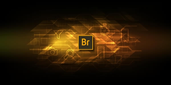 Adobe Bridge CC 2020ر