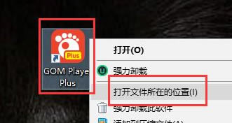 GOM Player Plusƽⷽ1