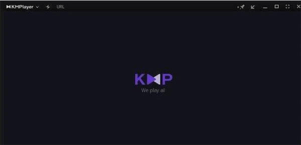 KMPlayerҕl؈D1