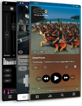 PowerAMP؄edPowerAMP؄e v3.818 X-վ