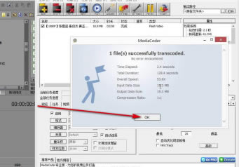 MediaCoder Pro؄eôDQʽ