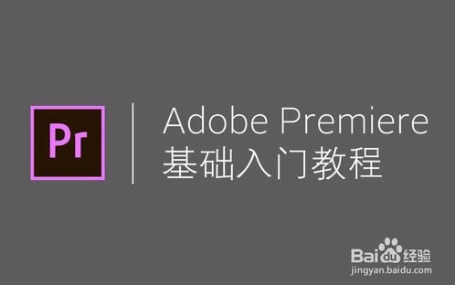 Adobe Premiere Pro CC 2019ر桿Adobe Premiere Pro CC 2019رٶ(ע) İ-վ