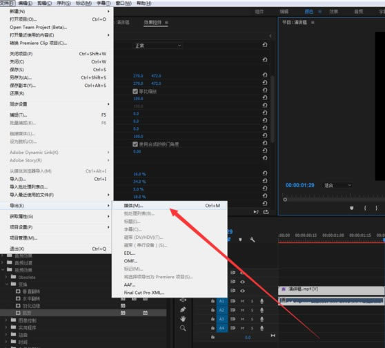 premiere pro cc 2019ôƵС