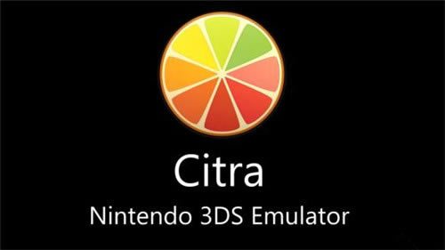 3DSģPCİ