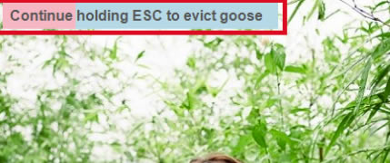 Desktop GooseİءDesktop Gooseٷ v0.3 °