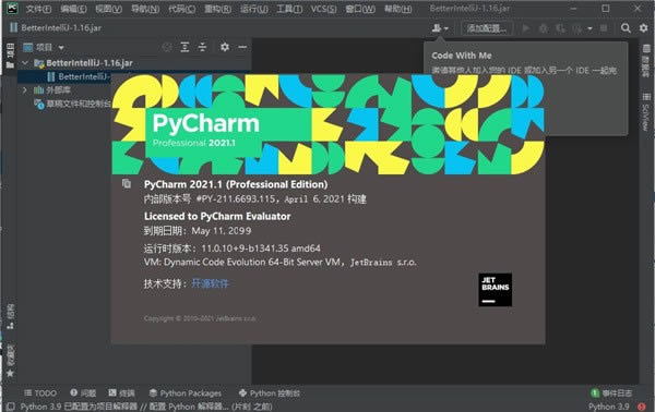 PyCharm Professional 2021-Python-PyCharm Professional 2021 v2021.2ٷʽ