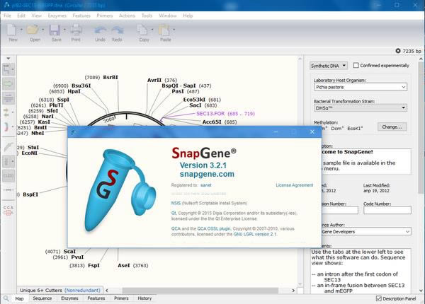 GSL Biotech SnapGene(ѧ)