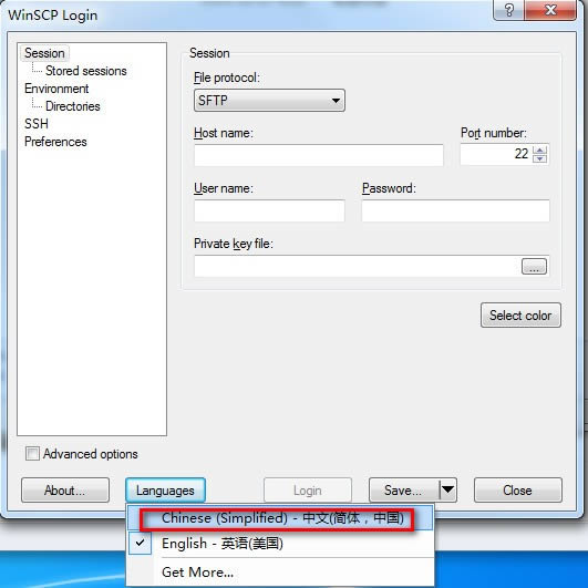 WinSCP-SFTP͑-WinSCPd v5.19.0İ