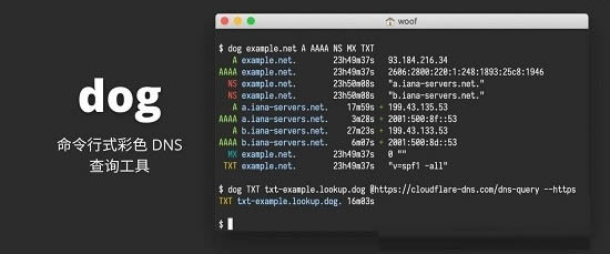 dog-ʽɫDNSѯ-dog v0.1.0ٷʽ