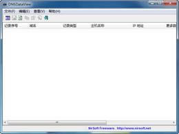 DNSDataView-DNS¼鿴-DNSDataView v1.5.6.0ٷ