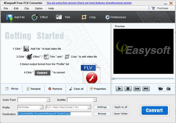 4Easysoft Free FLV Converter؈D