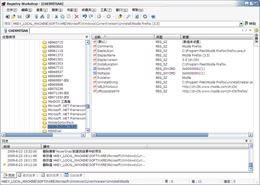 Registry Workshop-ע༭-Registry Workshop v5.0.1.0ٷʽ