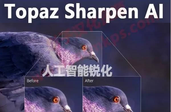 Topaz Sharpen AI-˹-Topaz Sharpen AI v2.2.2ٷʽ