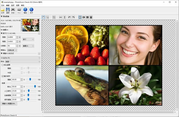 PhotoZoom Classic-ͼƬŴ-PhotoZoom Classic v8.0ٷʽ