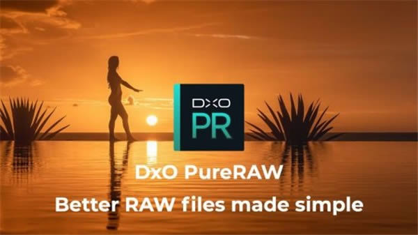 DxO PureRAW-RAWͼ-DxO PureRAW v1.1ٷʽ