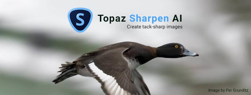 Topaz Sharpen AI-Topaz Sharpen AI v2.1.0ٷʽ