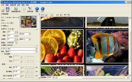 PhotoZoom Pro-PhotoZoom Prod v7.1.0.0ٷʽ