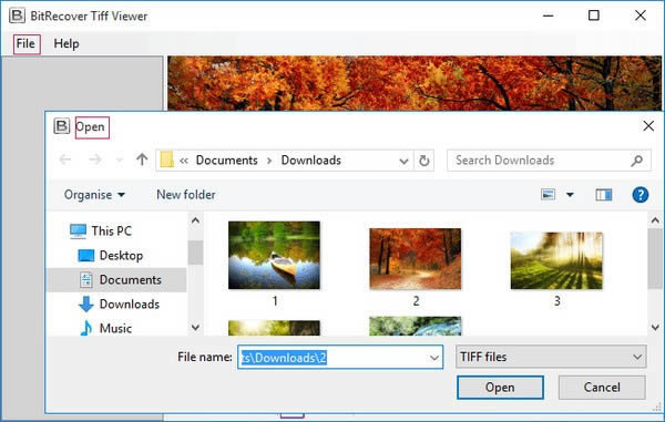 BitRecover Tiff Viewer-TIFFļ鿴-BitRecover Tiff Viewer v2.2ٷʽ