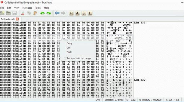 ļ TrueSight-ļ TrueSight v1.2 Beta Build 39ٷʽ