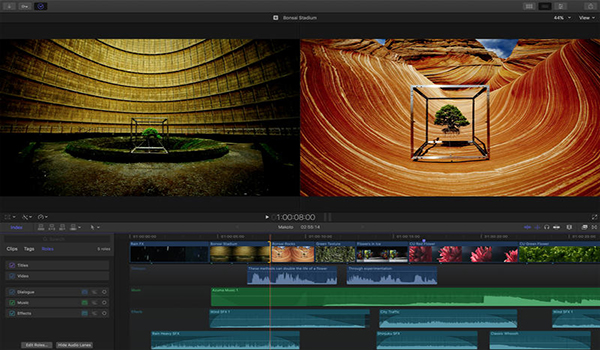 final cut pro x d